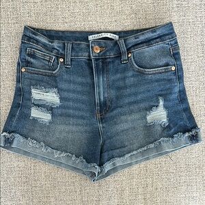 Celebrity Pink Blue Distressed Jean Shorts